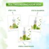Tea Tree Conditioner with Tea Tree and Ginger Oil for Dandruff Free Hair 250ml - Image 5