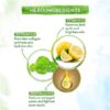 Vitamin C Night Cream with Vitamin C and Gotu Kola for Skin Illumination - 50g - Image 3
